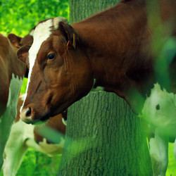 Similar image 8165271