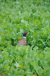 Similar image 8165273