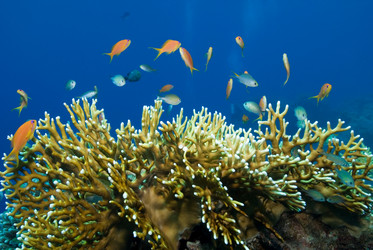 Similar image 8165286