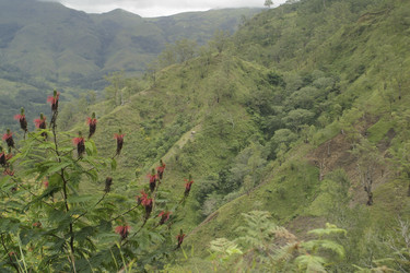 Similar image 8165296