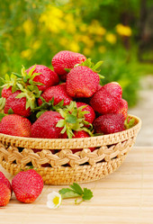 Similar image 8165307