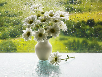 Similar image 8165310