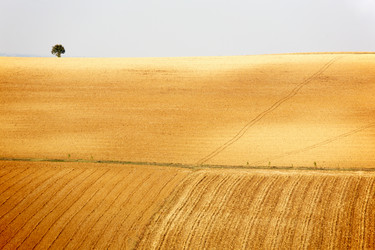 Similar image 8165332