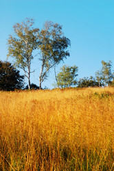 Similar image 8165334