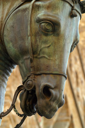 Similar image 8165355