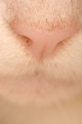 Similar image 8165367