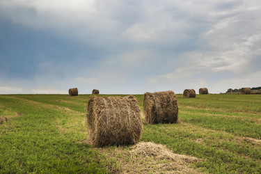 Similar image 8165370