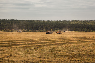 Similar image 8165371