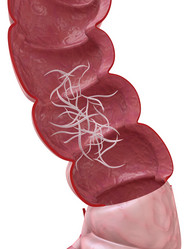 Similar image 8165381