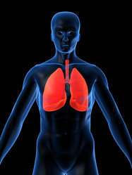 Similar image 8165429