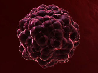 Similar image 8165440