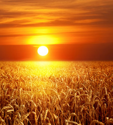 Similar image 8165464