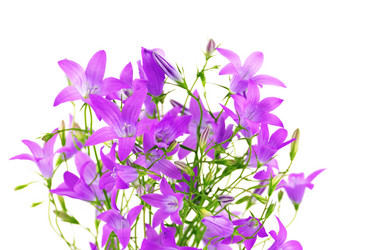 Similar image 8165467