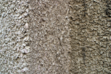 Similar image 8165471