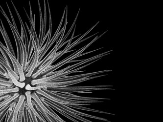 Similar image 8165472