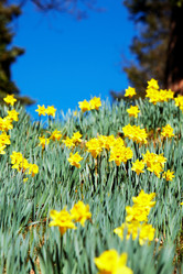 Similar image 8165477