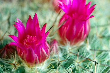 Similar image 8165479