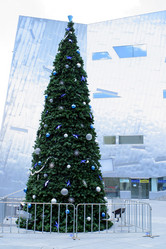 Similar image 8165525