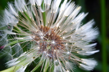 Similar image 8165592