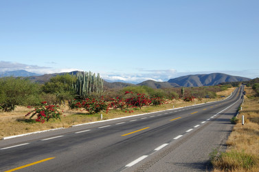 Similar image 8165617