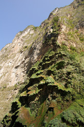 Similar image 8165622