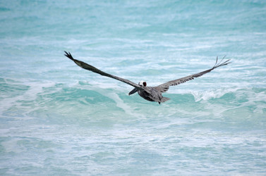 Similar image 8165630