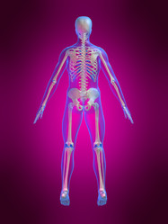 Similar image 8165636