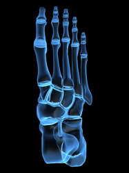 Similar image 8165640