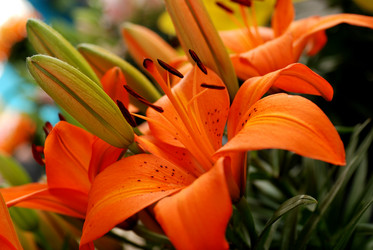 Similar image 8165651