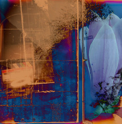 Similar image 8165731