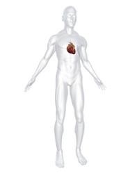 Similar image 8165743