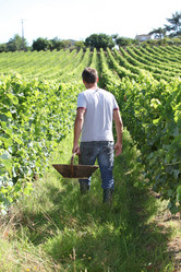 Similar image 8165823