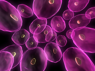 Similar image 8165827