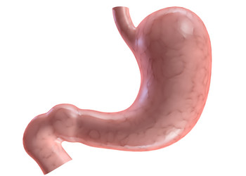 Similar image 8165828