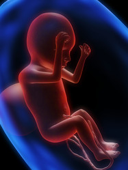 Similar image 8165858