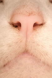 Similar image 8165861