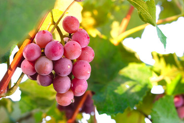 Similar image 8165868