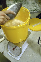 Similar image 8165879