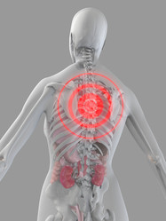 Similar image 8165911