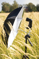 Similar image 8165931