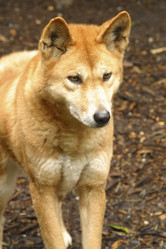 Similar image 8165937