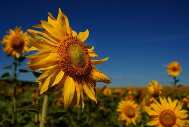 Similar image 8165971