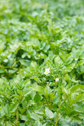 Similar image 8166025