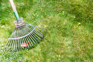 Similar image 8166026