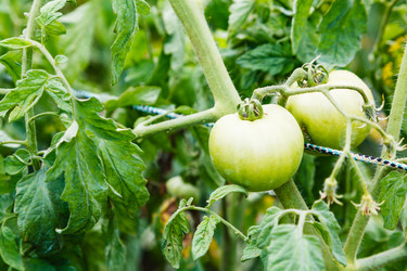 Similar image 8166027