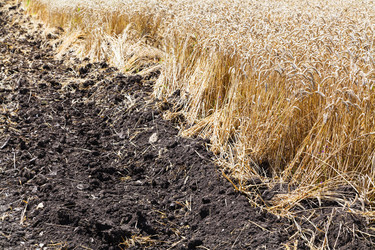 Similar image 8166044