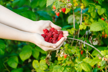 Similar image 8166070