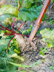 Similar image 8166081