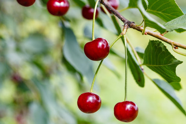 Similar image 8166123