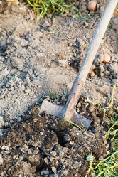 Similar image 8166132